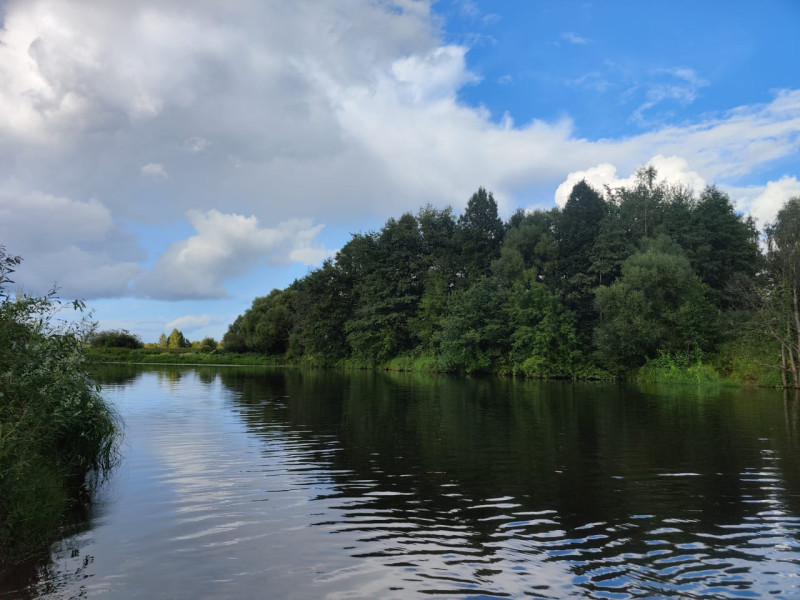 Расскажите, как вы будете проводить лето с детьми в городе. Акция "На лето к Ивану - 2".
