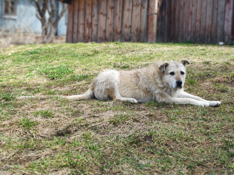 Расскажите, как вы будете проводить лето с детьми в городе. Акция "На лето к Ивану - 2".
