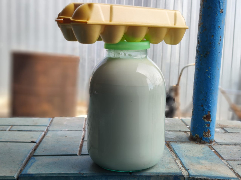 Расскажите, как вы будете проводить лето с детьми в городе. Акция "На лето к Ивану - 2".