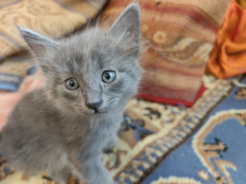 Расскажите, как вы будете проводить лето с детьми в городе. Акция "На лето к Ивану - 2".
