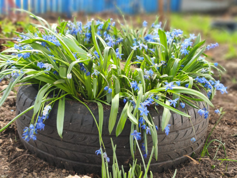 Расскажите, как вы будете проводить лето с детьми в городе. Акция "На лето к Ивану - 2".