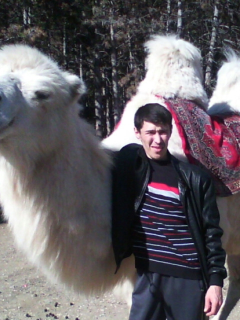 Ильнар, Россия, Видяево. Фото на сайте ГдеПапа.Ру