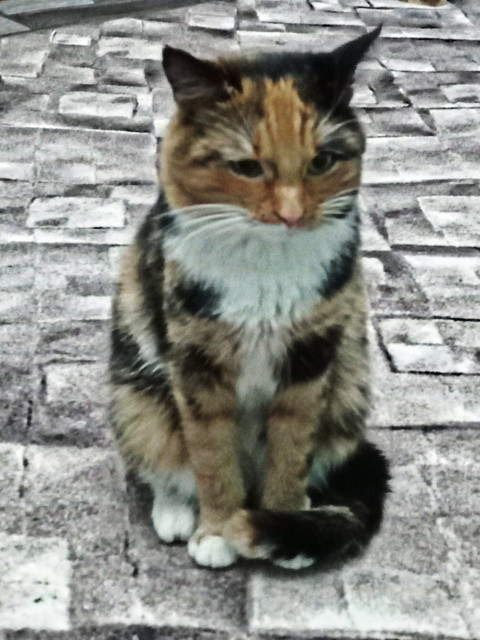 Олег, Россия, Москва. Фото на сайте ГдеПапа.Ру