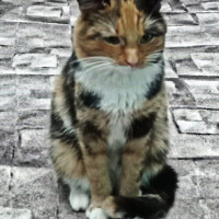 Олег, Россия, Москва, 57 лет