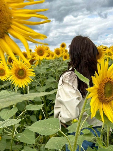 Сомали, Россия, Санкт-Петербург. Фото на сайте ГдеПапа.Ру
