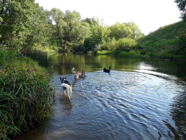 Павел Шарыкин, Россия, Чехов. Фото на сайте ГдеПапа.Ру
