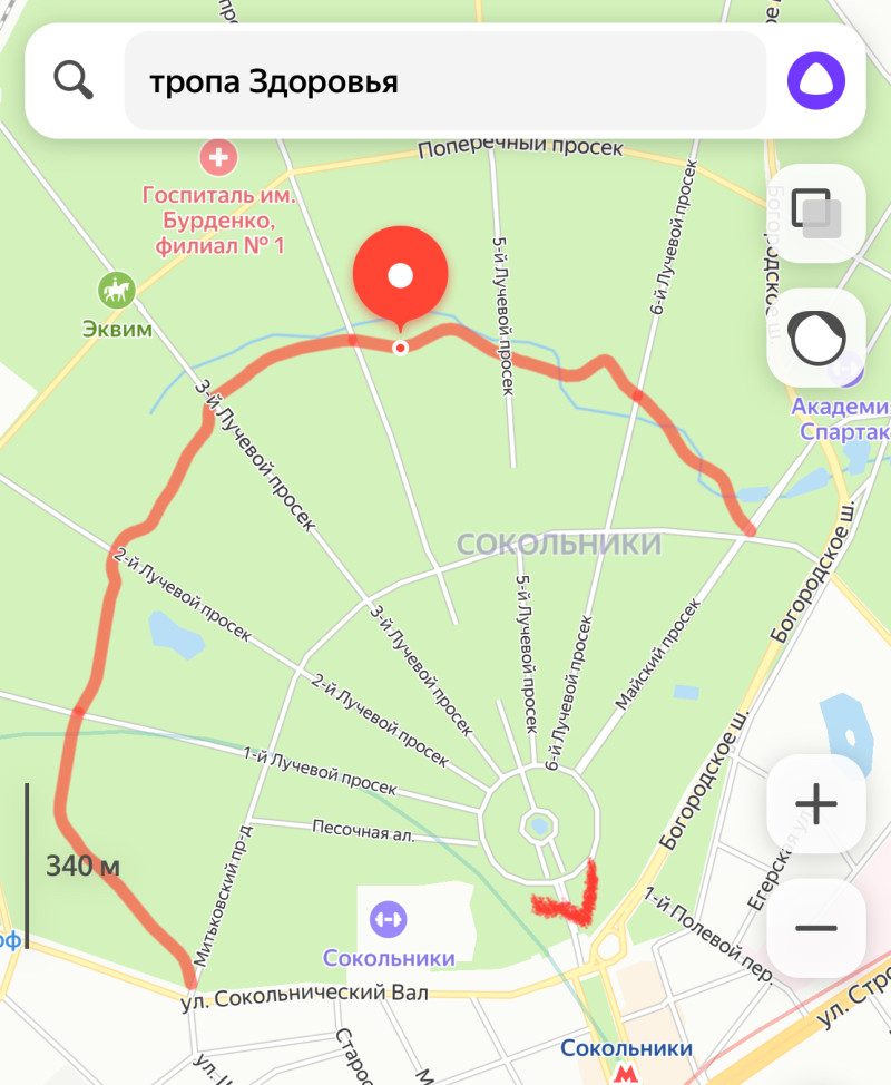 ЗОЖная прогулка в Сокольниках 30 марта, Россия, Москва, 2025-03-30