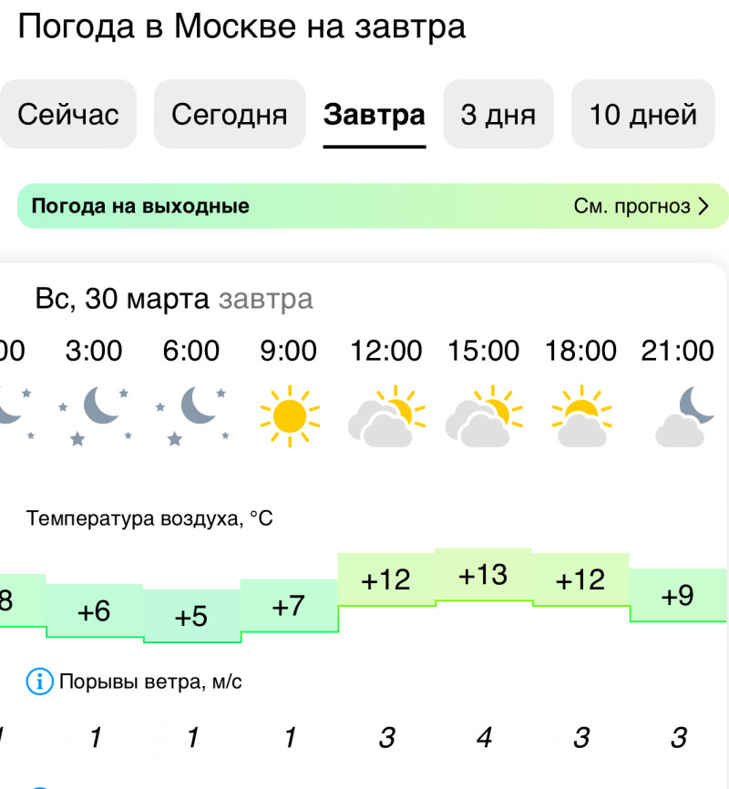 ЗОЖная прогулка в Сокольниках 30 марта, Россия, Москва, 2025-03-30