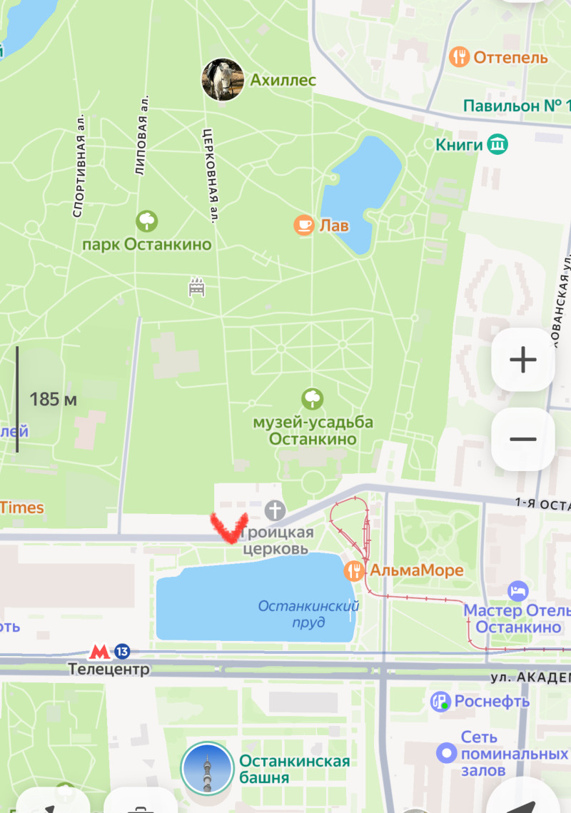 ЗОЖ-прогулка по тихим местам ВДНХ, Ботанического сада и парка Останкино, Москва, м. ВДНХ, 2025-04-19