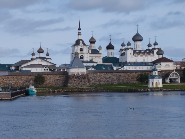Рыбка, Россия, Москва. Фото на сайте ГдеПапа.Ру