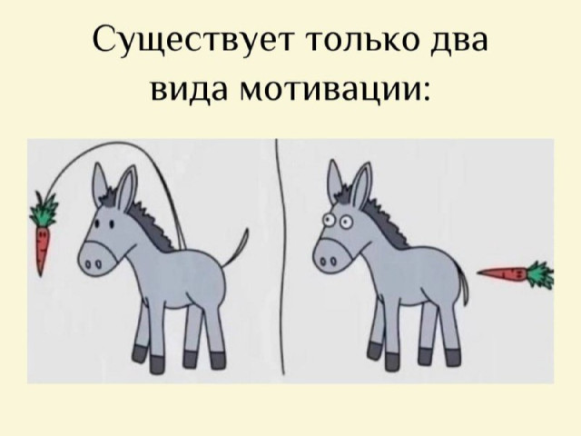 Эдуард, Россия, Курск. Фото на сайте ГдеПапа.Ру