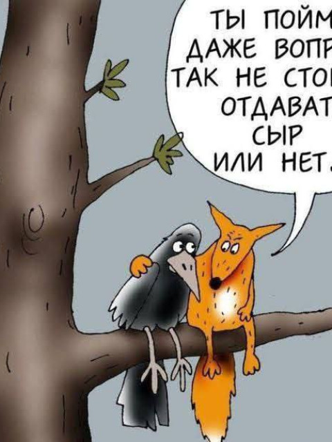 Эдуард, Россия, Курск. Фото на сайте ГдеПапа.Ру