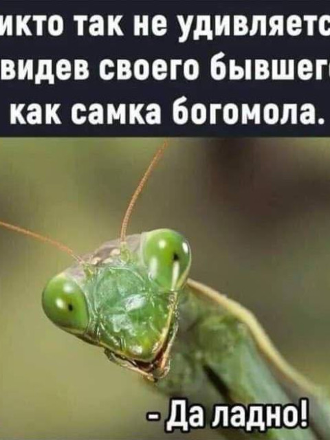 Эдуард, Россия, Курск. Фото на сайте ГдеПапа.Ру