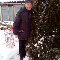 Петр Бирюлин, Россия, Санкт-Петербург, 71 год