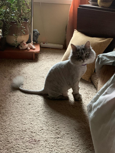 Дмитрий, Россия, Санкт-Петербург. Фото на сайте ГдеПапа.Ру