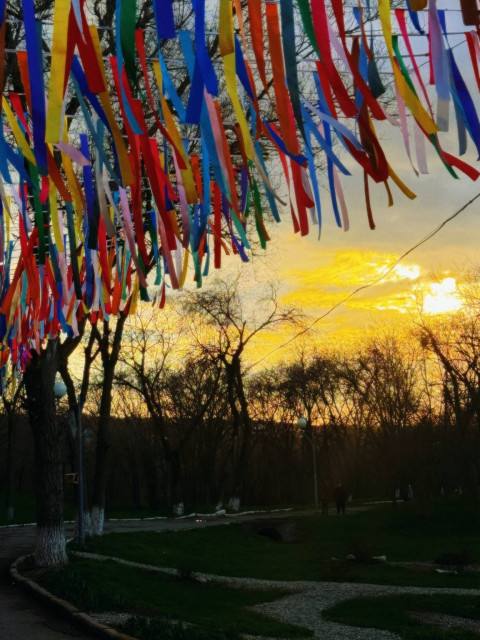 Роман, Россия, Элиста. Фото на сайте ГдеПапа.Ру