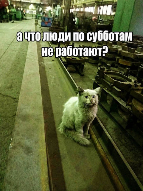 Роман, Россия, Элиста, 50 лет, 1 ребенок. Разведен, есть сын 2010 г. р.