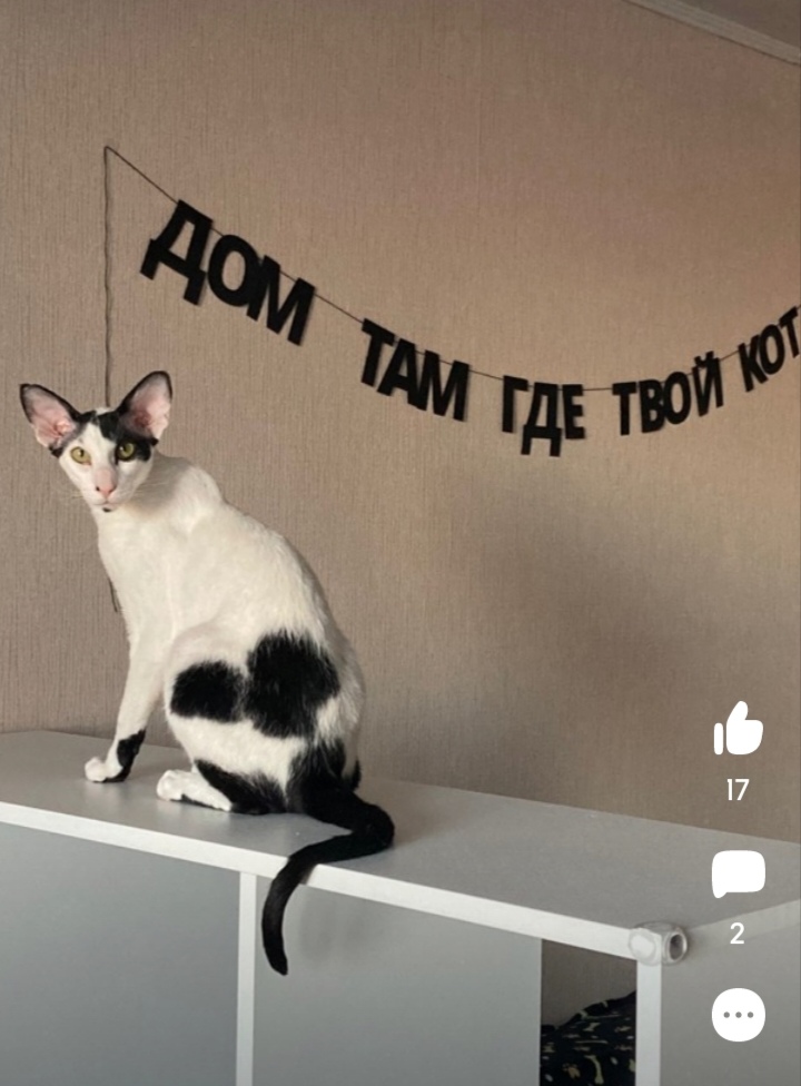 Мотиваторы! )))