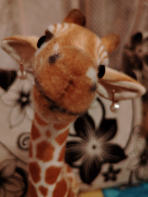 Ева, Россия, Борисоглебский. Фото на сайте ГдеПапа.Ру