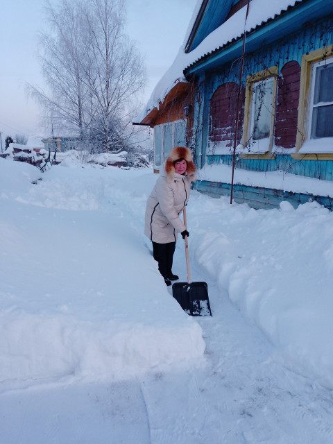 Чистим дачу, снегу навалило...