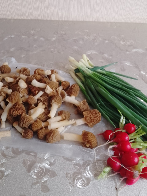 Первый весенний урожай