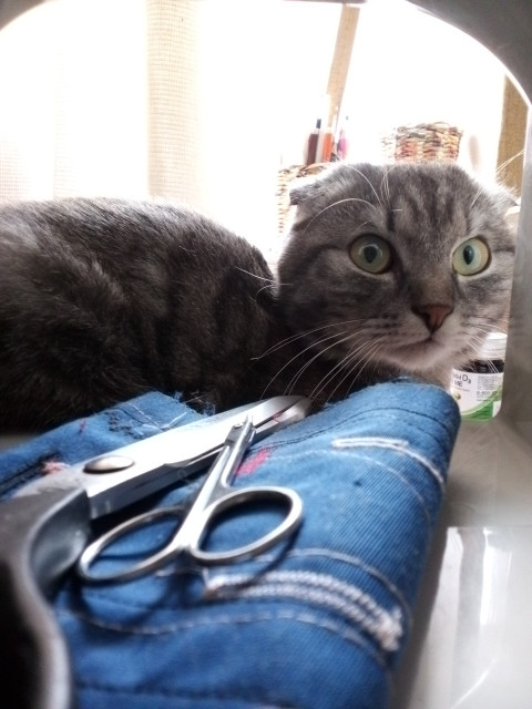 Надежда, Россия, Рязань. Фото на сайте ГдеПапа.Ру