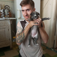 Никита, Россия, Донецк, 32 года