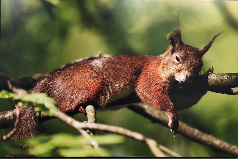 Фестиваль природы "Первозданная Россия"