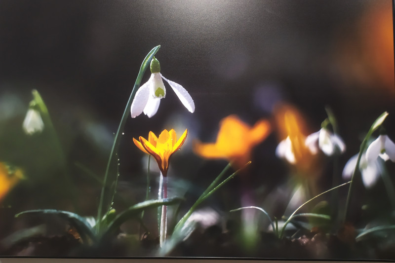 Фестиваль природы "Первозданная Россия"