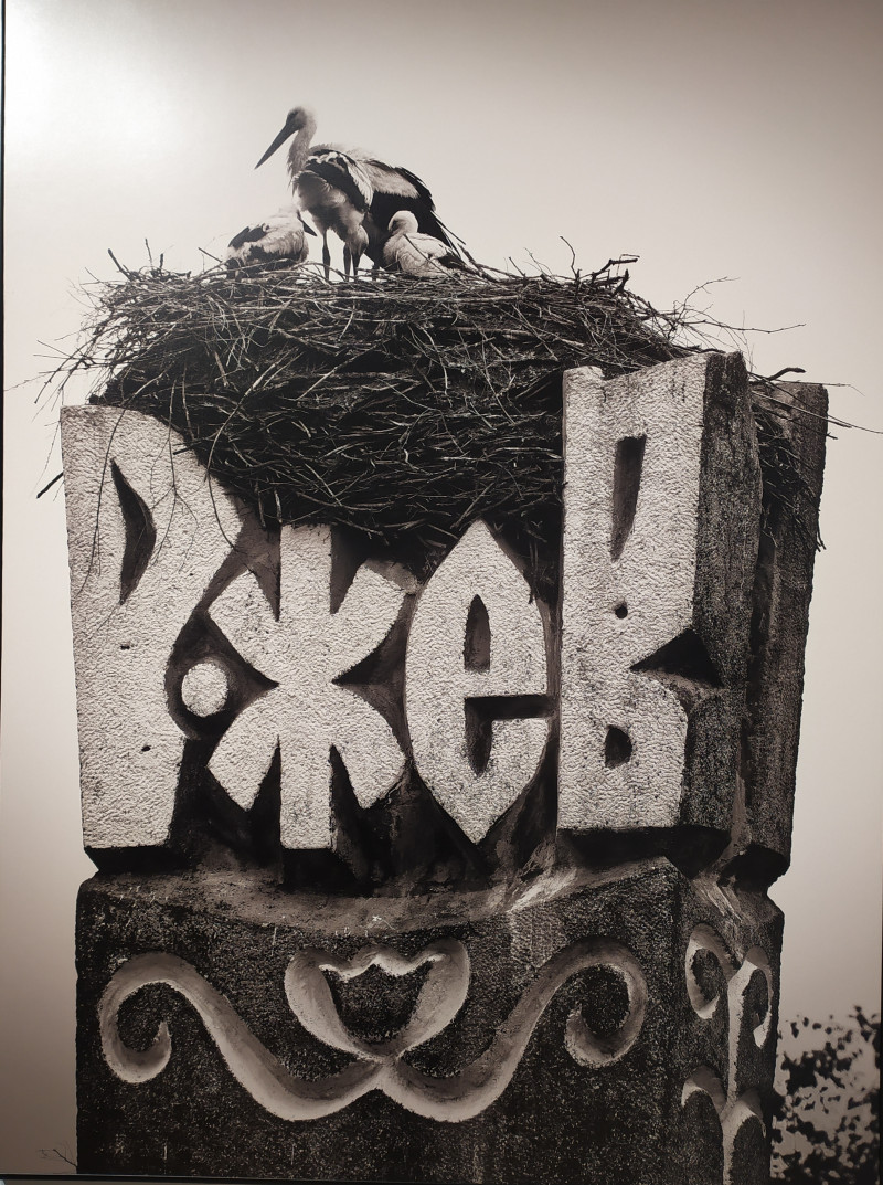 Фестиваль природы "Первозданная Россия"