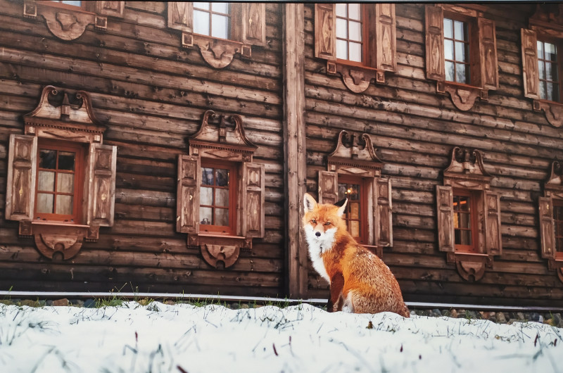 Фестиваль природы "Первозданная Россия"