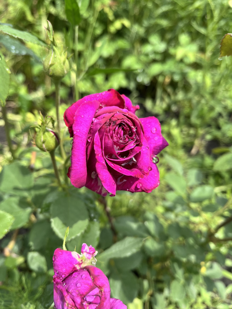 Татьяна, благодарю Вас!!!