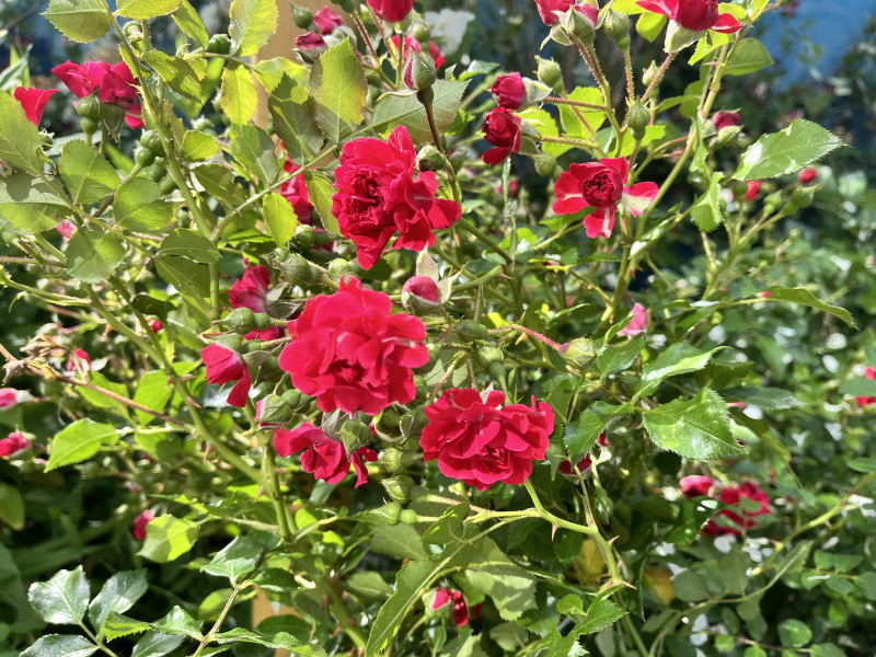 Татьяна, благодарю Вас!!!