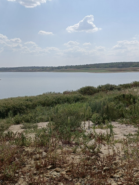 Антон, Россия, Москва. Фото на сайте ГдеПапа.Ру