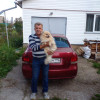 Александр, 66, Россия, Москва