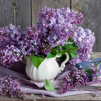 Оксана, Россия, Брянск, 50 лет