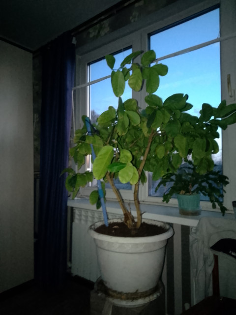 Валерий, Россия, Иваново. Фото на сайте ГдеПапа.Ру