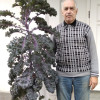 Виктор, 73, Россия, Тула