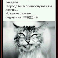 Игорь, Россия, Краснодар, 52 года