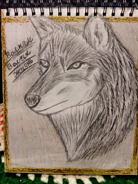 Мой рисунок