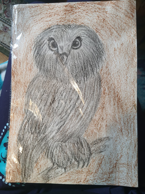 Мой рисунок