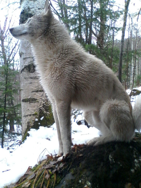 Володя, Россия, Москва. Фото на сайте ГдеПапа.Ру