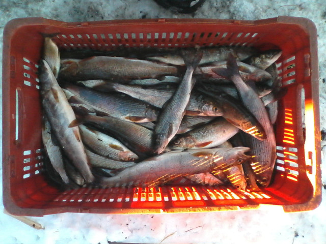 Володя, Россия, Москва. Фото на сайте ГдеПапа.Ру