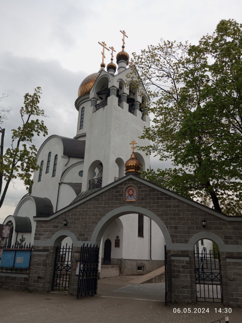 Володя, Россия, Москва. Фото на сайте ГдеПапа.Ру