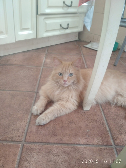 Светлана, Россия, Омск. Фото на сайте ГдеПапа.Ру