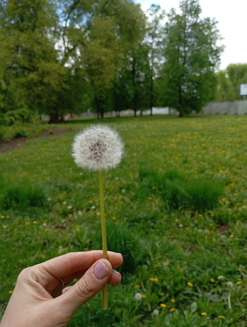 Помощь зала)))