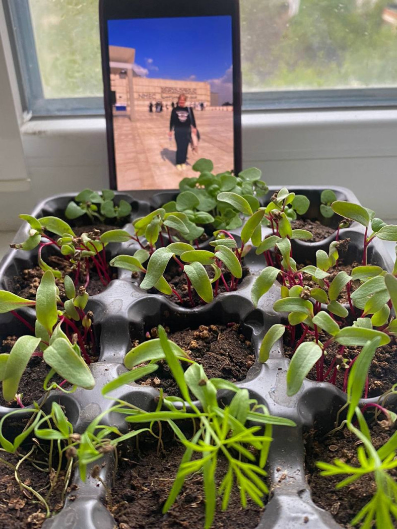 Конкурс! Часть 2. Голосовательная. Утром 7 мая узнаем кто же сорвёт джек-пот