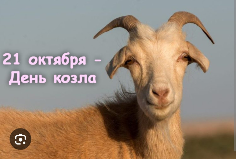 С праздником всех причастных ❤️❤️❤️