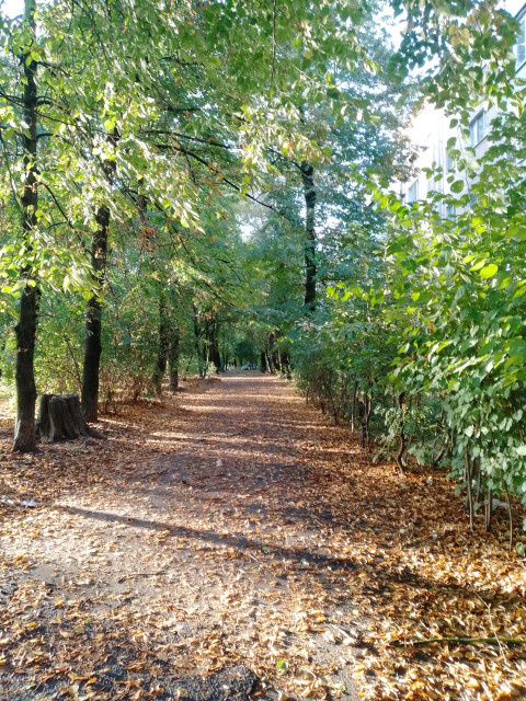Александр, Россия, Ростов-на-Дону. Фото на сайте ГдеПапа.Ру