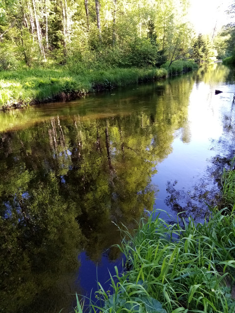 Линдуловская роща.